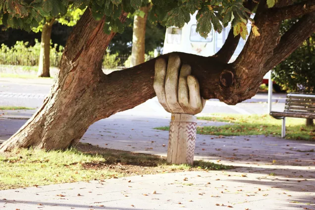 Tree branch supported by a large hand. Photo.